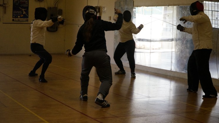 Fencing with Foils and Smarre